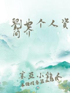 刘也个人资料及简介