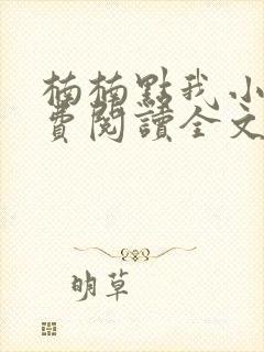 楠楠点我小说免费阅读全文最新章节