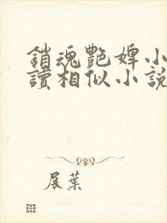 销魂艳婢小说阅读相似小说