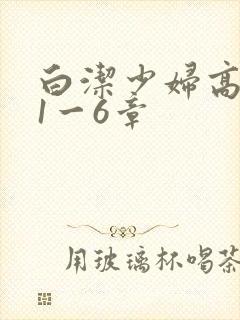白洁少妇高义第1一6章