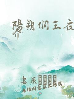 阳朔侗王夜宴简介