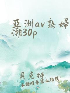 亚洲av熟妇高潮30p
