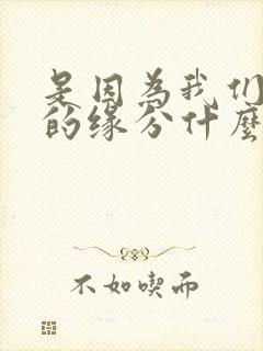 是因为我们所谓的缘分什么歌