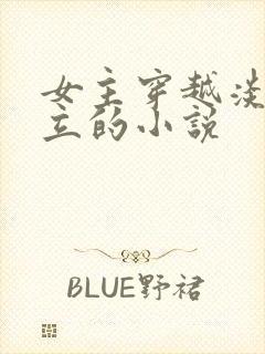 女主穿越淡然独立的小说