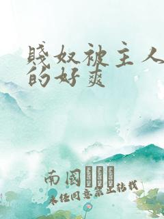 贱奴被主人调教的好爽