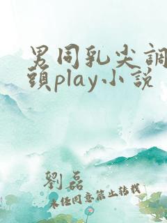 男同乳尖调教奶头play小说