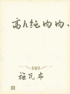 高h纯肉肉小说