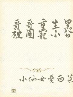 哥哥重生黑化后被团宠小公主萌翻了