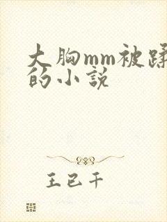 大胸mm被蹂躏的小说