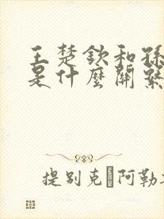 王楚钦和孙颖莎是什么关系