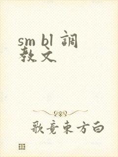 sm bl 调教文