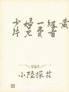 少妇一级黄色淫片免费看