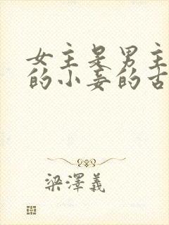 女主是男主父亲的小妾的古言