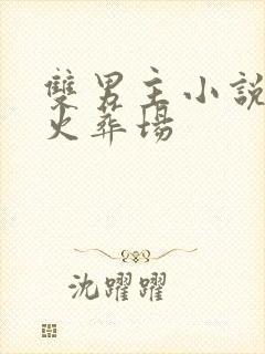 双男主小说追妻火葬场