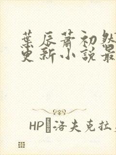 叶辰萧初然最快更新小说最新