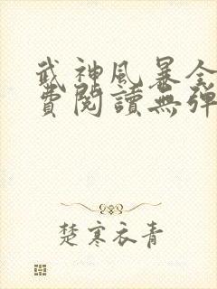 武神风暴全文免费阅读无弹窗笔趣阁