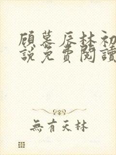 顾慕辰林初荔小说免费阅读最新章节