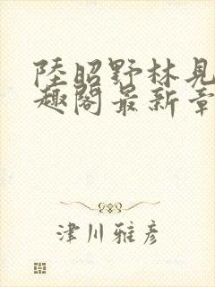 陆昭野林见疏笔趣阁最新章节更新