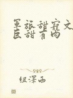 军旅甜宠文推荐巨甜有肉