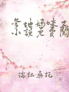 爹地妈咪又跑了小说免费阅读