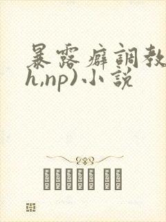 暴露癖调教(高h,np)小说