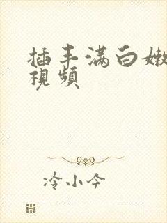 插丰满白嫩少妇视频