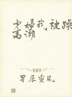 少妇我被躁爽到高潮