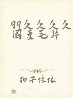 99久久久久久国产毛片