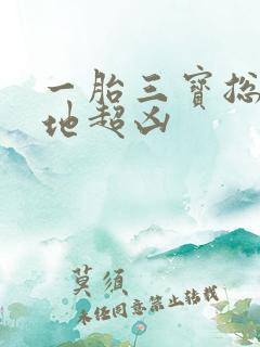 一胎三宝总裁爹地超凶