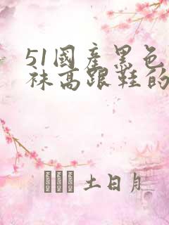 51国产黑色丝袜高跟鞋的内容