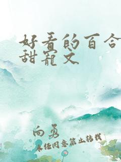 好看的百合小说甜宠文