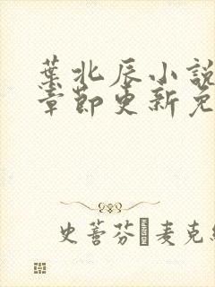 叶北辰小说最新章节更新免费阅读