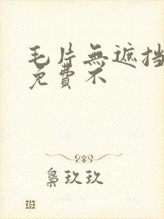 毛片无遮挡高清免费不