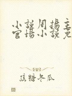 小说周扬主角的官场小说免费阅读