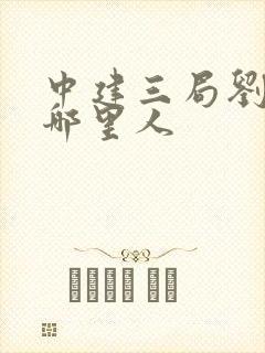 中建三局刘建民哪里人