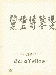 闪婚后发现老公是上司全文免费阅读小说