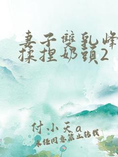 妻子双乳峰摸晃揉捏奶头2