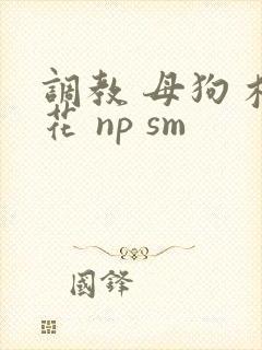 调教 母狗 校花 np sm
