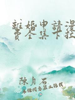 离婚申请漫画免费全集下拉式漫画