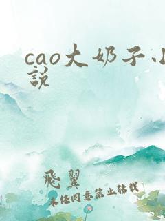 cao大奶子小说