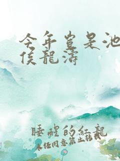 今年岂是池中物侯龙涛