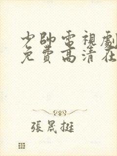 少帅电视剧全集免费高清在线观看