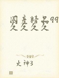 国产精品99久久久久久