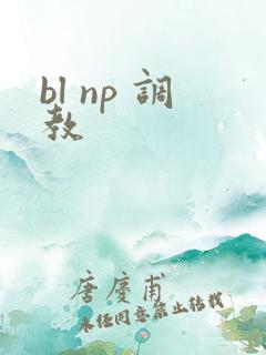 bl np 调教