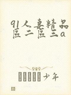 91人妻精品一区二区三a