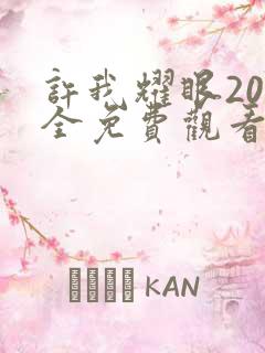 许我耀眼20集全免费观看