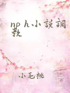 np h小说调教