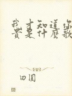 我才知道你最珍贵是什么歌的歌词