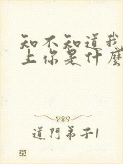 知不知道我已爱上你是什么歌