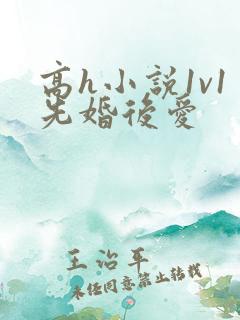 高h小说1v1先婚后爱